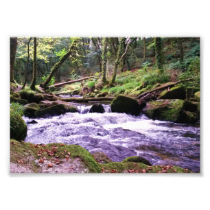 Golitha Falls River Fowey Cornwall England Fototryck