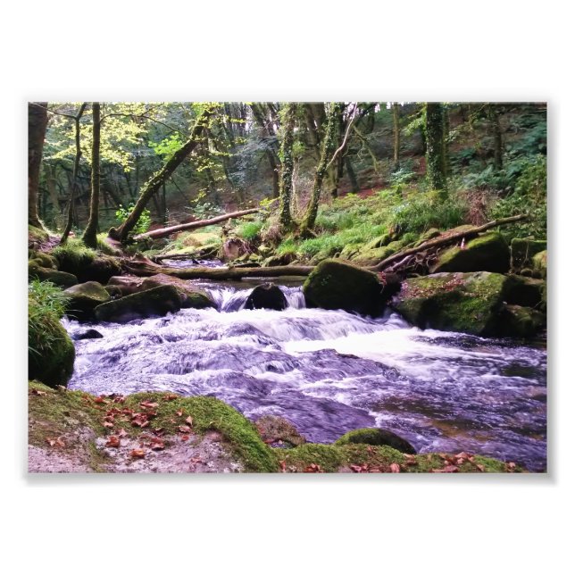 Golitha Falls River Fowey Cornwall England Fototryck (Framsidan)