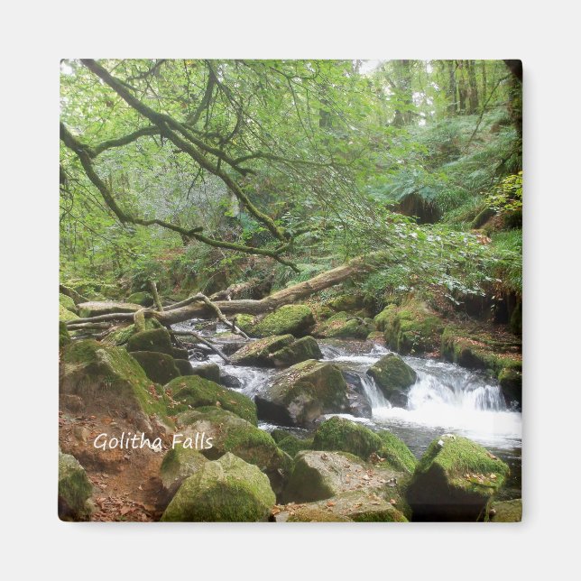 Golitha Falls River Fowey Cornwall England Magnet (Framsidan)