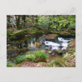 Golitha Falls River Fowey Cornwall England Vykort