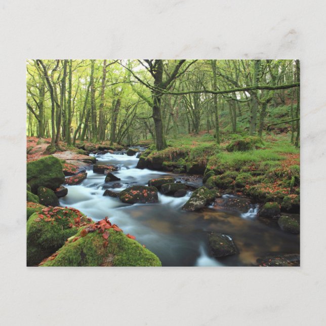 Golitha Falls Vykort (Framsida)