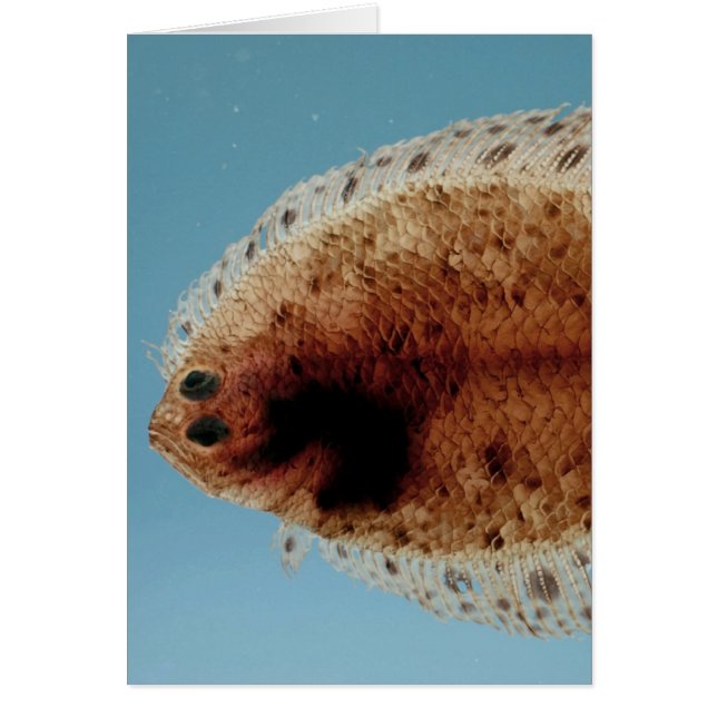 Golv Hälsningskort (Framsidan)