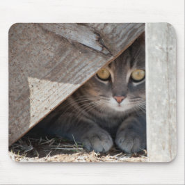 göm-a-kattunge musmatta