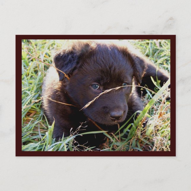 Göm och sök efter vykort (Framsida)