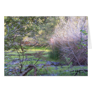 Göm och sök OBS kort