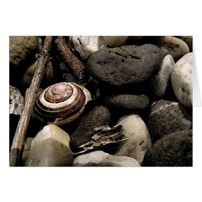 Göm och sök OBS kort (Framsidan Horizontal)