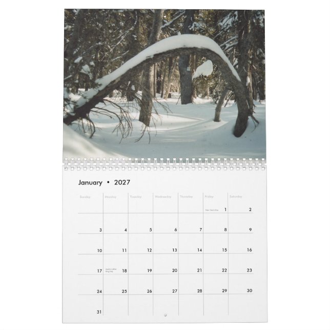 Gömda skatter 2011 kalender (Jan 2027)