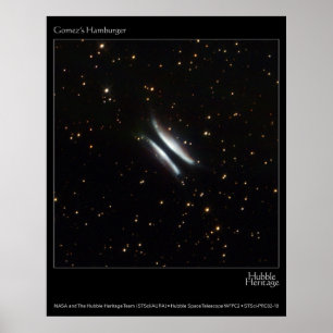 Gomez Hamburgers Hubble Telescope Photo Poster