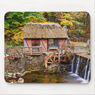 Gomez Mill Musmatta