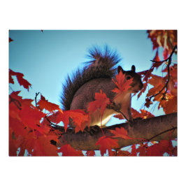 "Gömma i rakt ljus" Fototryck