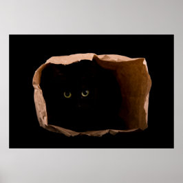 Gömma i skuggor poster