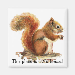 Gömma sig detta ställe är en Nuthouse! Humor Magnet