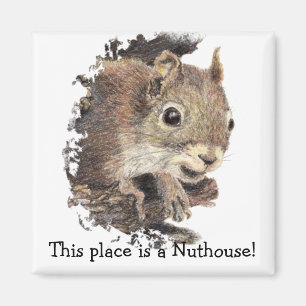 Gömma sig detta ställe är en Nuthouse! Humor Magnet