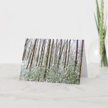 *Gömmande damm: Helgdag- Silence- A-Universal Refu