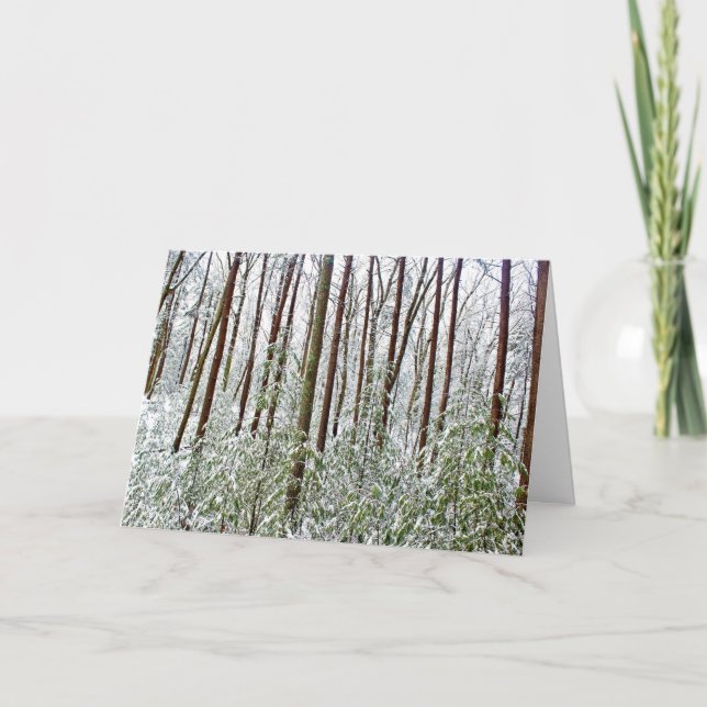 *Gömmande damm: Helgdag- Silence- A-Universal Refu Helgkort (Framsida)