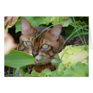 Gömmande i Garden Hälsningskort