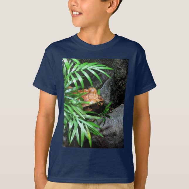 Gömmer Frog CB T Shirt (Framsida)
