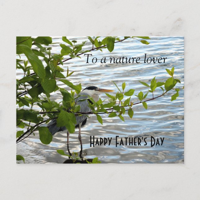 Gömmer Heron! Vykort (Framsida)