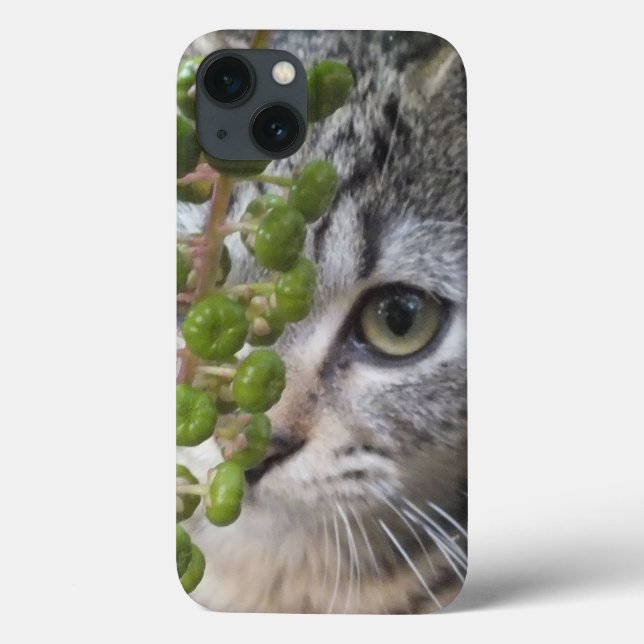Gömmer Kitten ÖGA-Mobil iPad-väska (Baksida)