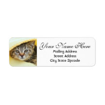 Gömmer Kitten-Returadress