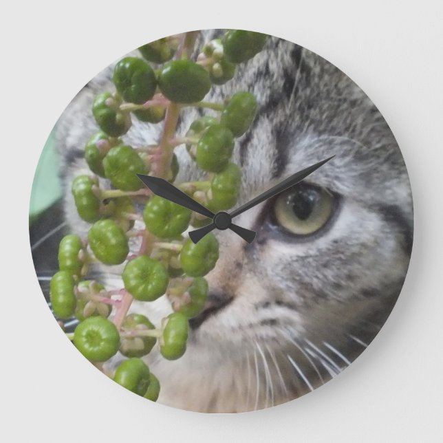 Gömmer Kitten Wall Clock Stor Klocka (Framsida)
