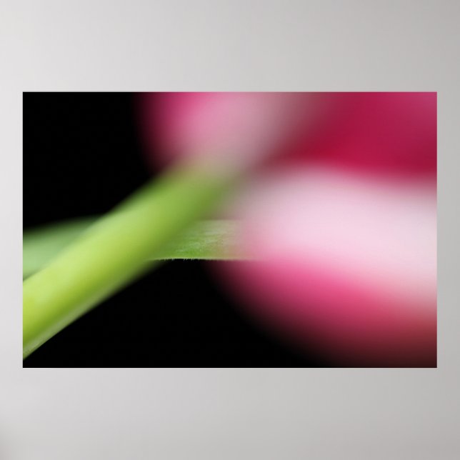 Gömmer Poster (Framsidan)