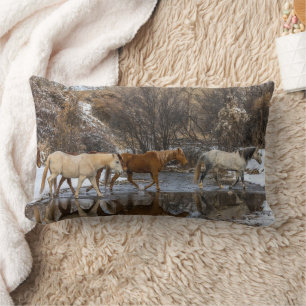 Gömmställe Häst Ranch Lumbarkudde