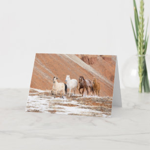 Gömmställe Ranch med liten hjord hästar i snö Kort