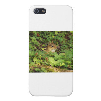 Gömställe iPhone 5 Fodral