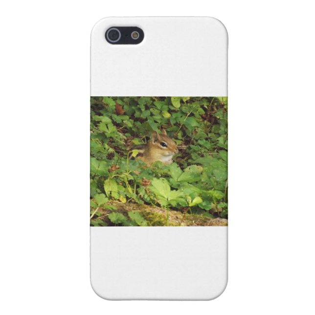 Gömställe iPhone 5 Fodral (Baksidan)