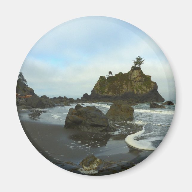 Gömt Beach II i nationalparken Redwood Magnet (Framsidan)