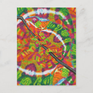 Gömt Chameleon Vykort