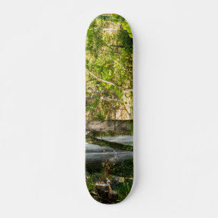 Gömt fack mini skateboard bräda 18,5 cm