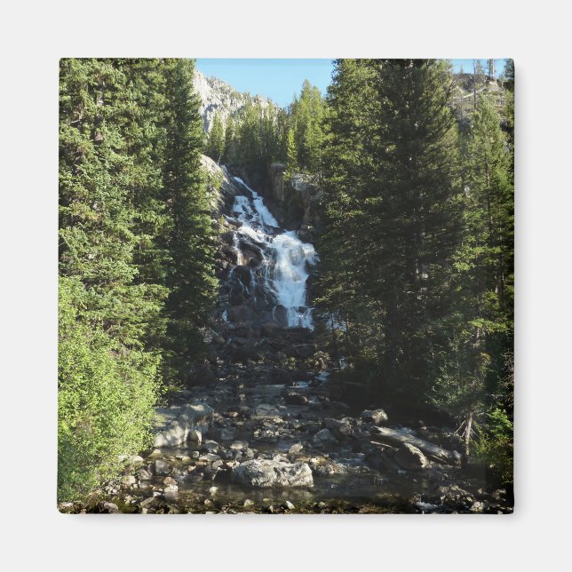 Gömt fall i Grand Teton nationalpark Magnet (Framsidan)
