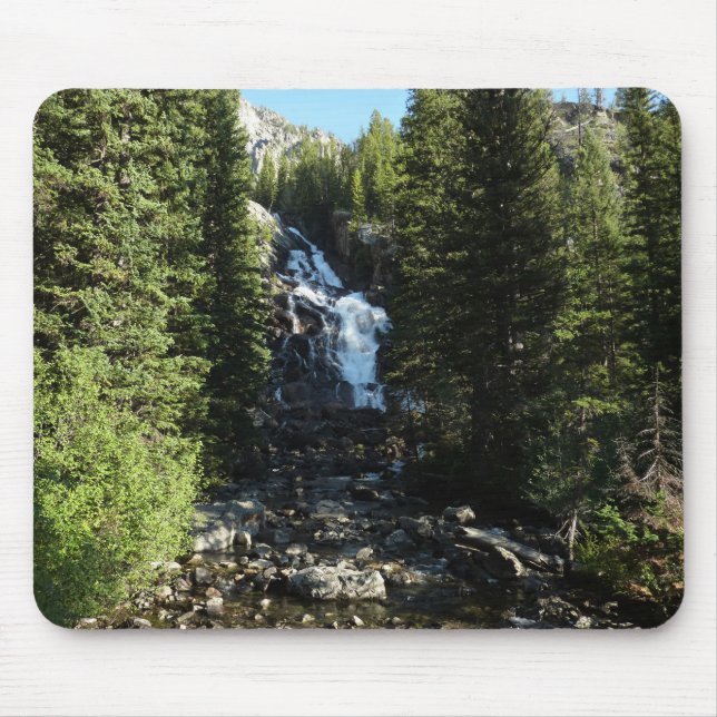 Gömt fall i Grand Teton nationalpark Musmatta (Framsidan)