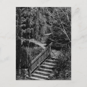Gömt Garden Stairway-vykort Vykort