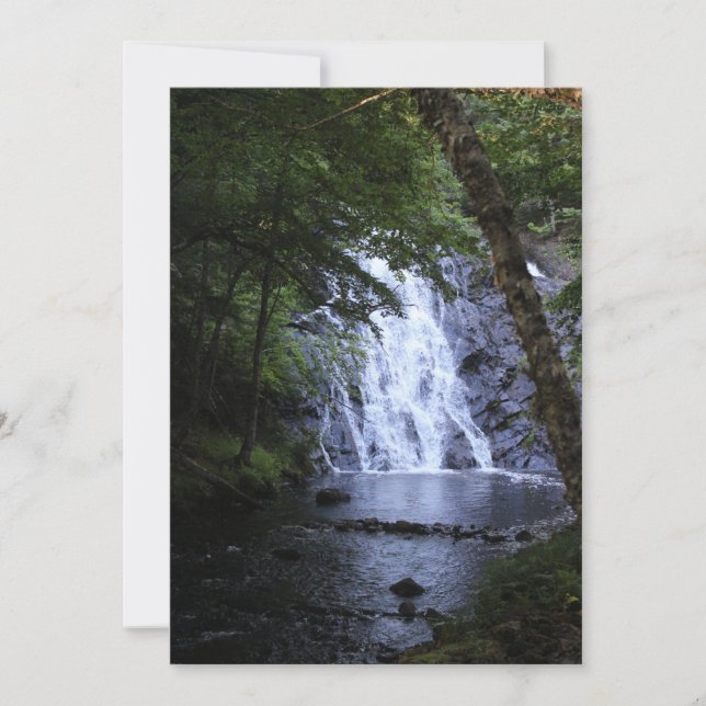 Gömt genom Träd (Framsida)