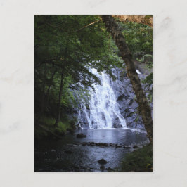 Gömt genom Träd Vykort