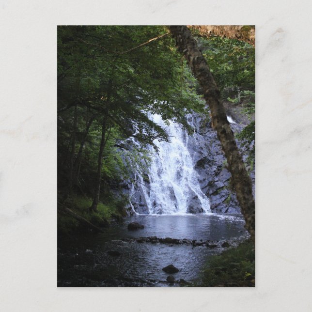 Gömt genom Träd Vykort (Framsida)