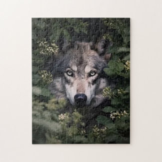 Gömt i sikte pussel