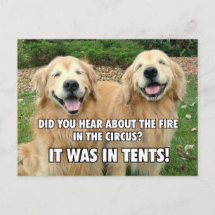 (Gömt) Lättare Golden Retriever Circus Fire Joke Vykort