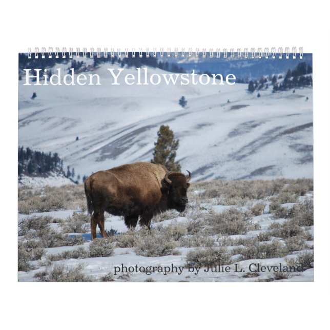 Gömt nationalparkskalender för Yellowstone Kalender (Omslag)