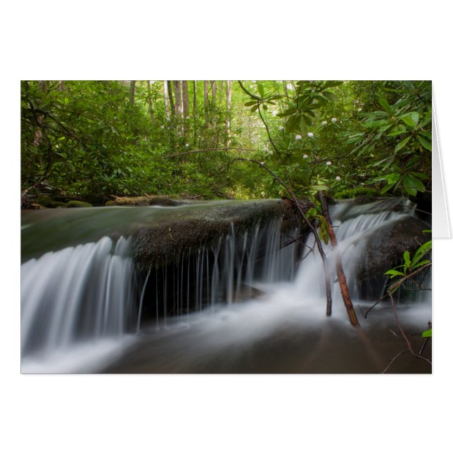 Gömt parkeringskort OBS kort (Framsidan Horizontal)