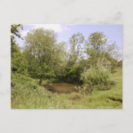 Gömt Pond Photo Postcard Vykort