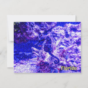 Gömt Seahorse Art i Lila och Blue Florida Vykort