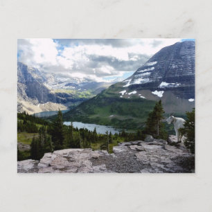 Gömt Sjö Overlook Glacier National Park Montana Vykort
