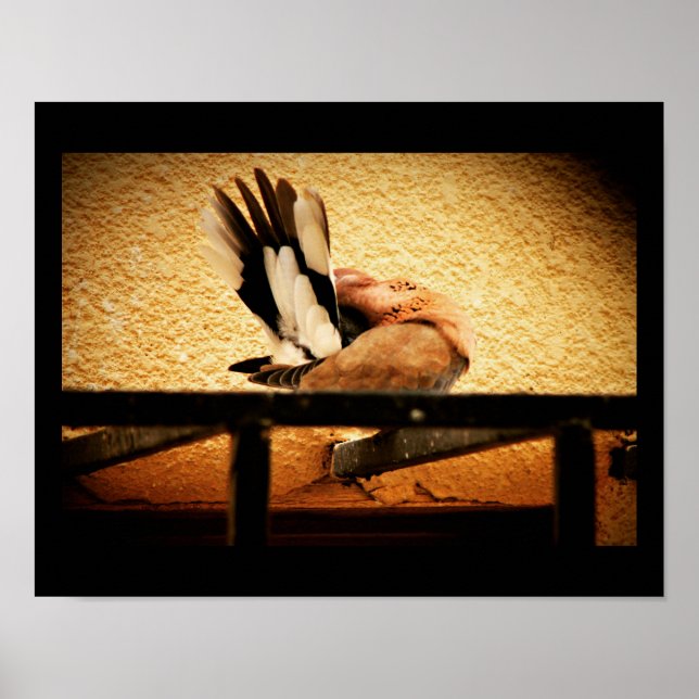 Gömt skönhet poster (Framsidan)