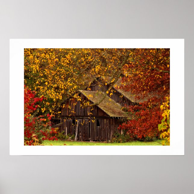 Gömt skönhet. poster (Framsidan)