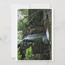 Gömt Vår Waterfall Julkort