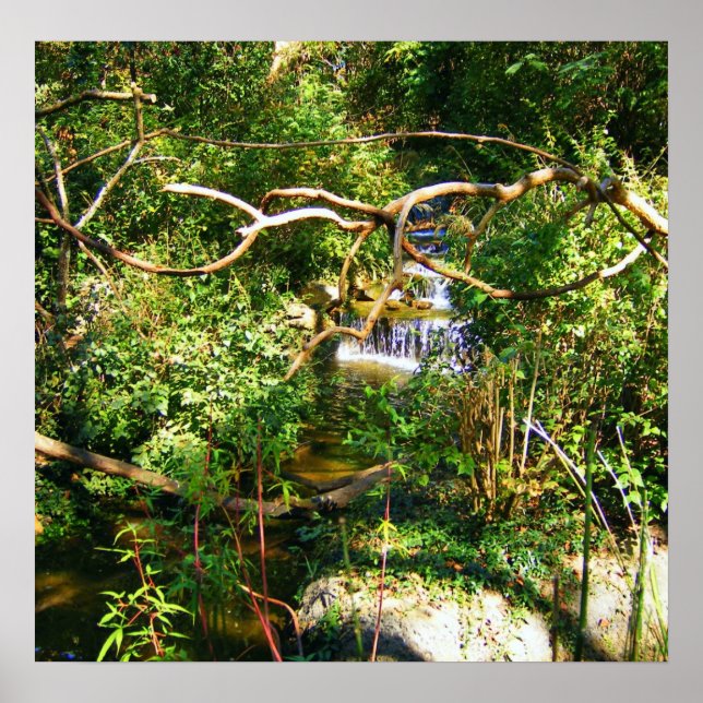 Gömt vattenfall poster (Framsidan)